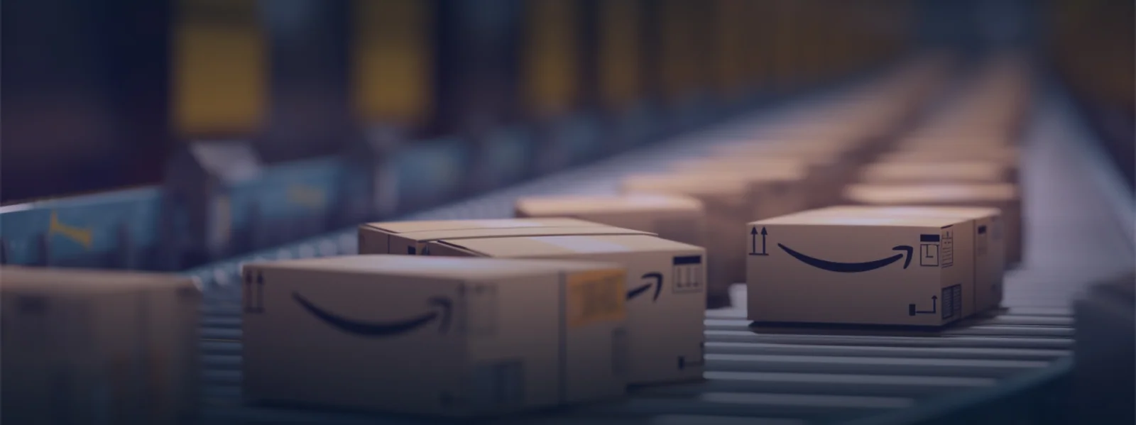 Amazon Brand Registry